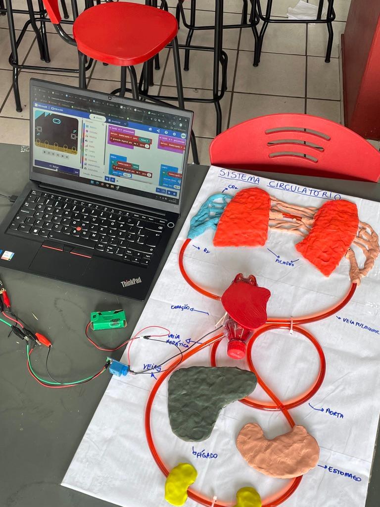 Modelo do sistema circulatório feito com massinha e tubos sobre papel, ao lado de um notebook com a programação do micro:bit